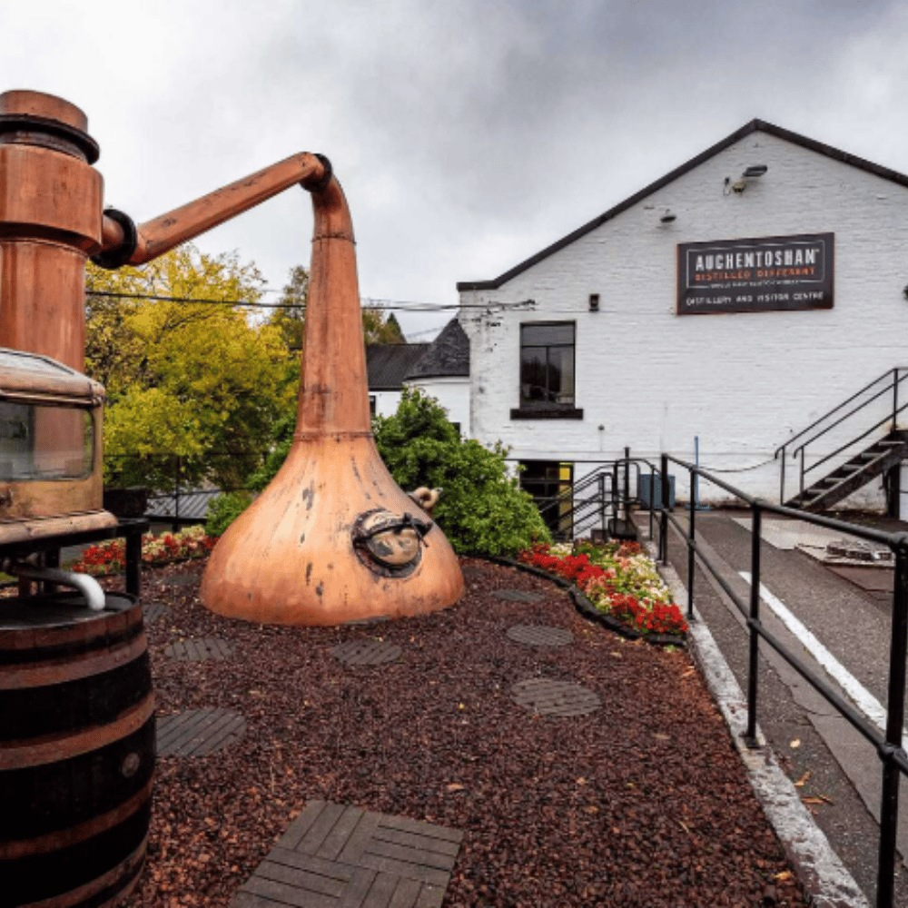 Auchentoshan 1st Fill Mizunara - March 2024 Storage at Auchentoshan Distillery 188 Liters