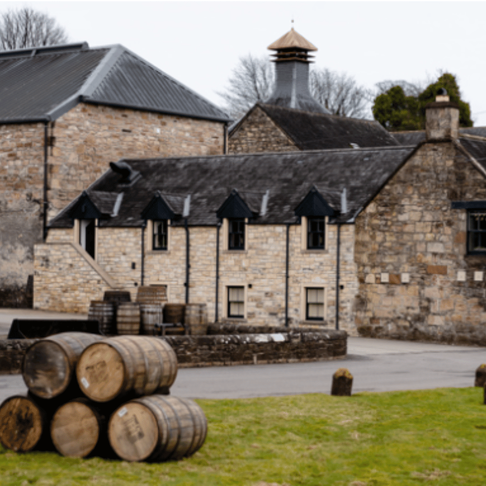 Dalmore 1st Fill Mizunara Barrique - October 2015 Storage at Dalmore Distillery 227 Liters