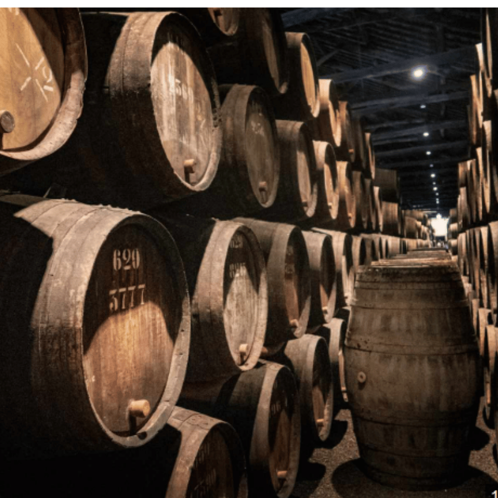 Staoisha 1st Fill Oloroso Barrique (60PPM) - June 2021 Storage at Bunnahabhain Distillery 226 Liters