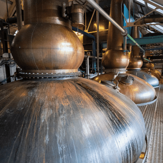 Tomatin First Fill Vinsanto Hogshead - May 2024 Storage at Tomatin Distillery 234 Liters