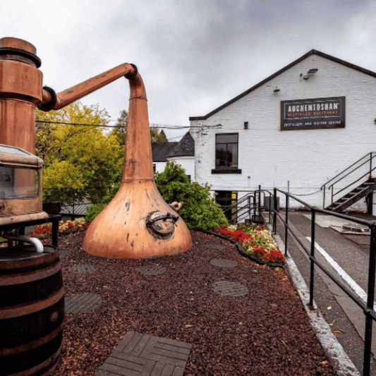 Auchentoshan 1st Fill Oloroso Sherry Barrique - March 2024 Storage at Auchentoshan Distillery 220 Liters