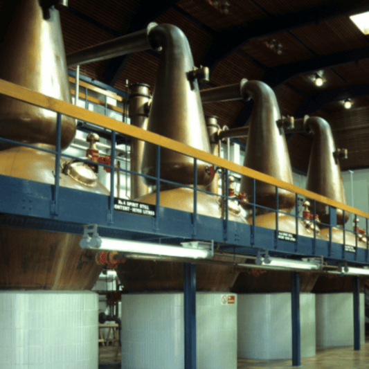 Auchroisk 1st Fill Oloroso Sherry Barrique - April 2016 Storage at Auchroisk Distillery 220 Liters
