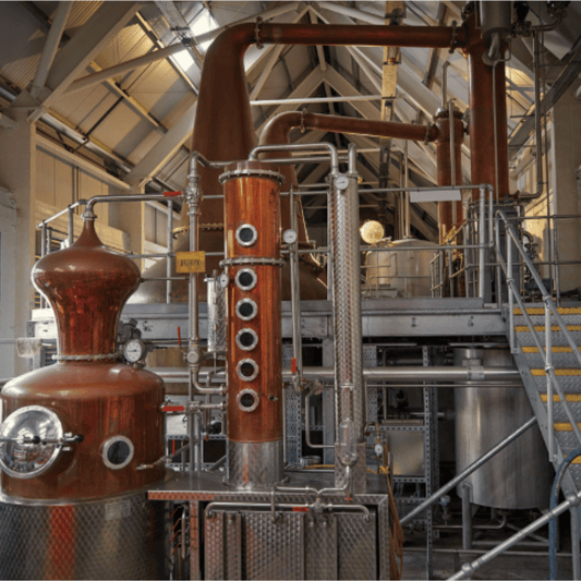 Bonnington 1st Fill Brandy Barrique - January 2023 Storage at Bonnington Distillery 196 Liters