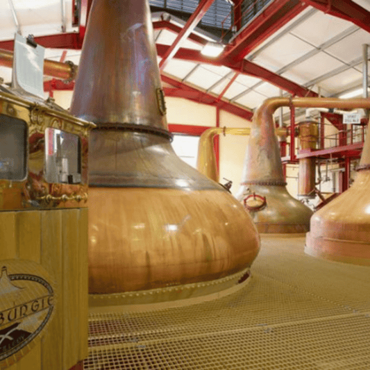 Glenburgie 1st Fill Oloroso Sherry Barrique - April 2011 Storage at Glenburgie Distillery 227 Liters