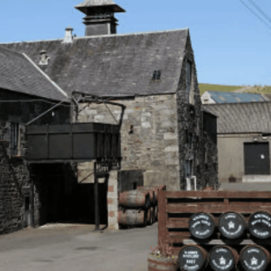 Kirkcowan 1st Fill Oloroso Sherry Barrique - January 2024 Storage at Kirkcowan 214 Liters