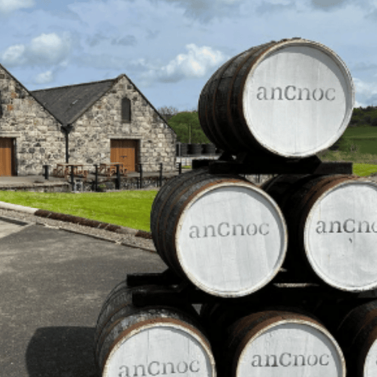 Knockdhu Refill Sherry Butt - March 2014 Storage at Knockdhu Distillery 462 Liters