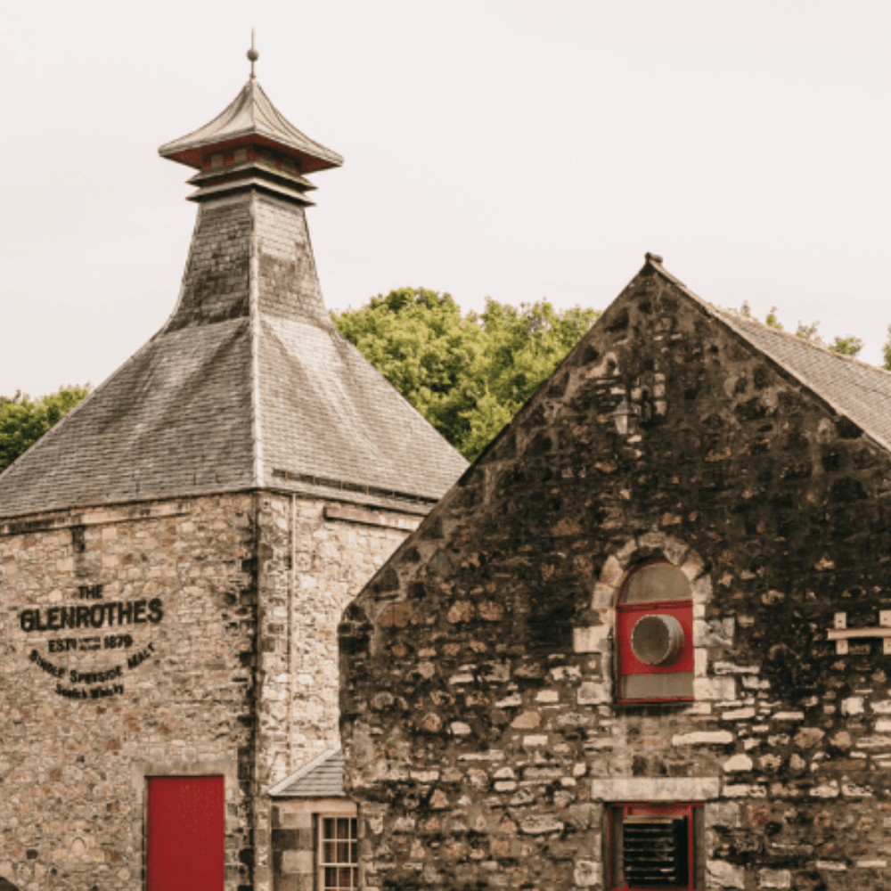 Glenrothes 1st Fill Oloroso Sherry Butt - May 2021 Storage at Glenrothes Distillery 502 Liters